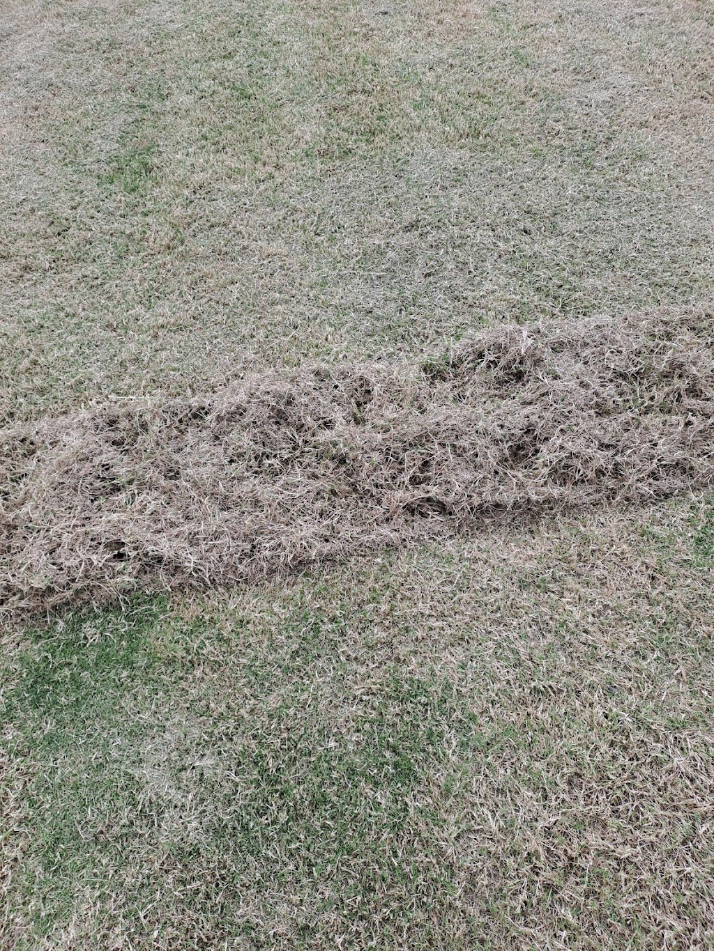 Lawrance Mowing and Maintenance | 11A Holmes St, North Ipswich QLD 4305, Australia | Phone: 0450 746 308