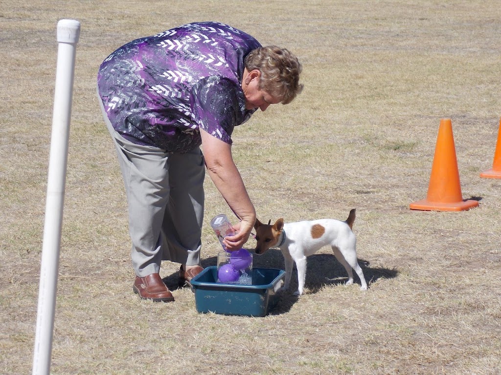 Dogtivities | 93 Australasia Dr, Creswick VIC 3363, Australia | Phone: 0407 867 413