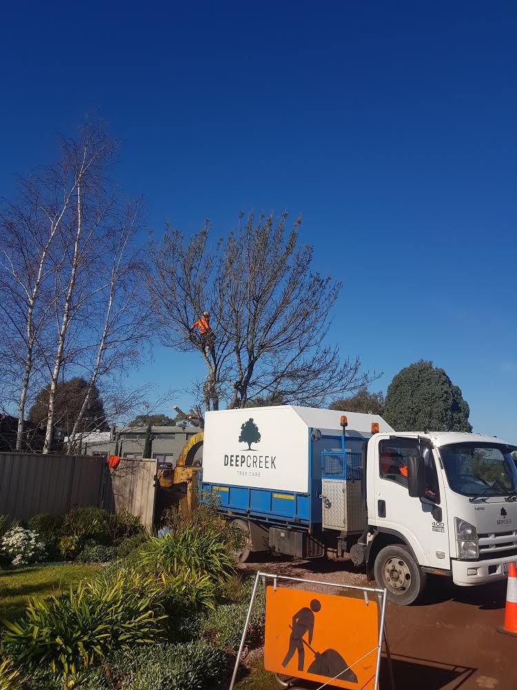 Deep Creek Tree Care |  | 239 Penshurst-Warrnambool Rd, Koroit VIC 3282, Australia | 0458950070 OR +61 458 950 070