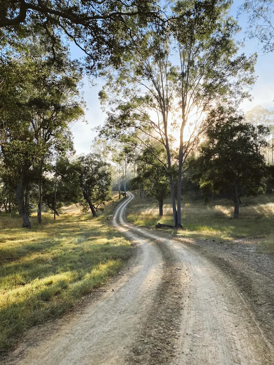 On the Clarence Camping | 1762 Hootons Rd, Tabulam NSW 2469, Australia | Phone: 0460 852 369