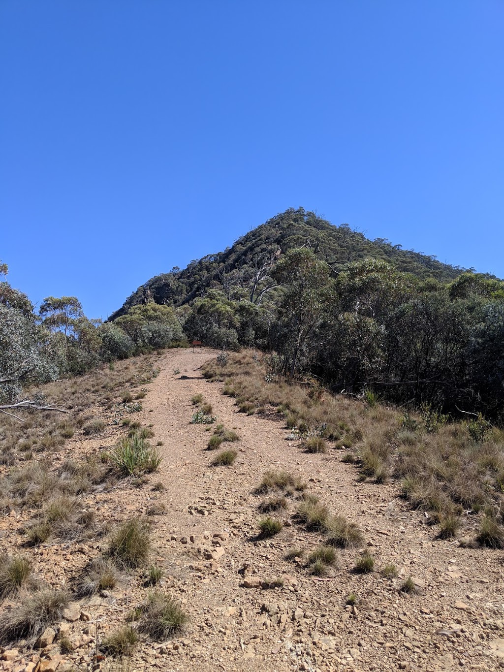 Tidbinbilla | park | Paddys River ACT 2620, Australia