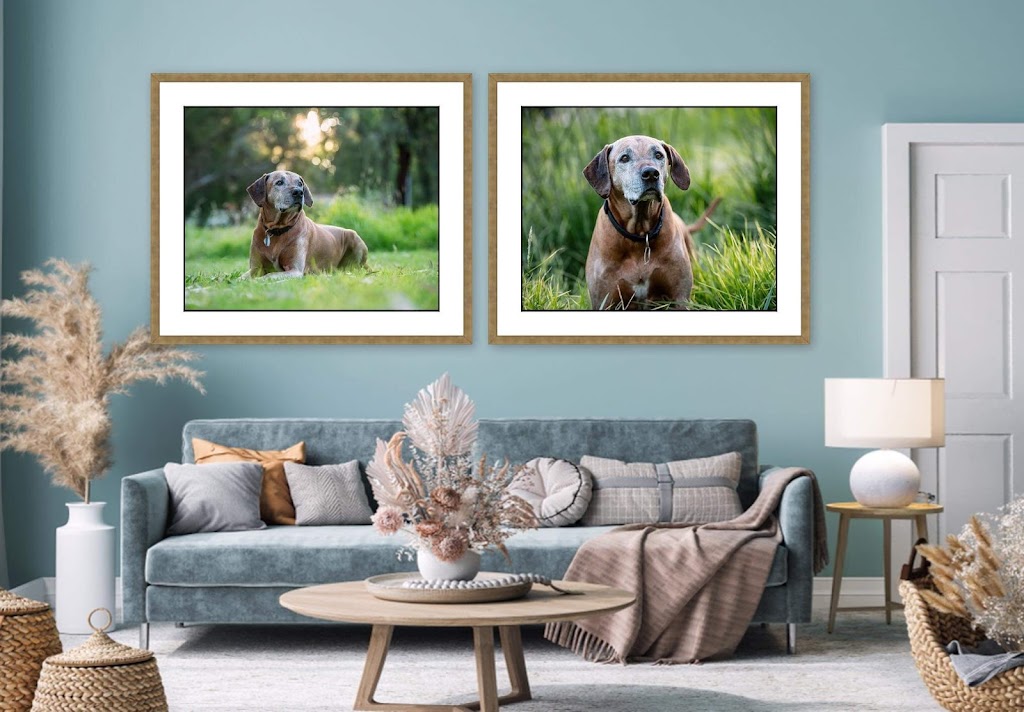 Look Back and Smile Pet Photography | 154 Frenchman Bay Rd, Robinson WA 6330, Australia | Phone: 0419 846 605