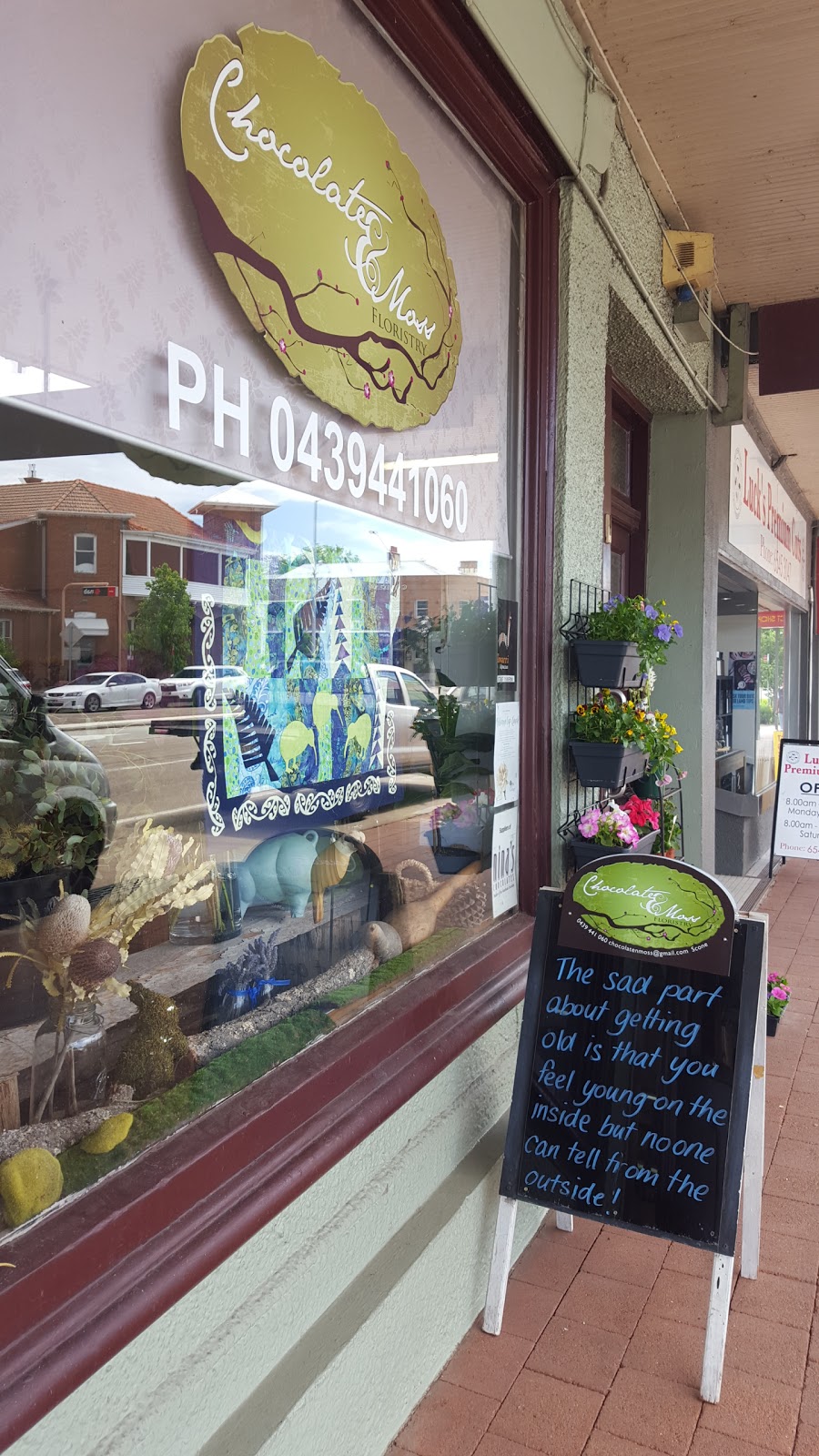 Chocolate & Moss | 195 Kelly St, Scone NSW 2337, Australia | Phone: 0439 441 060