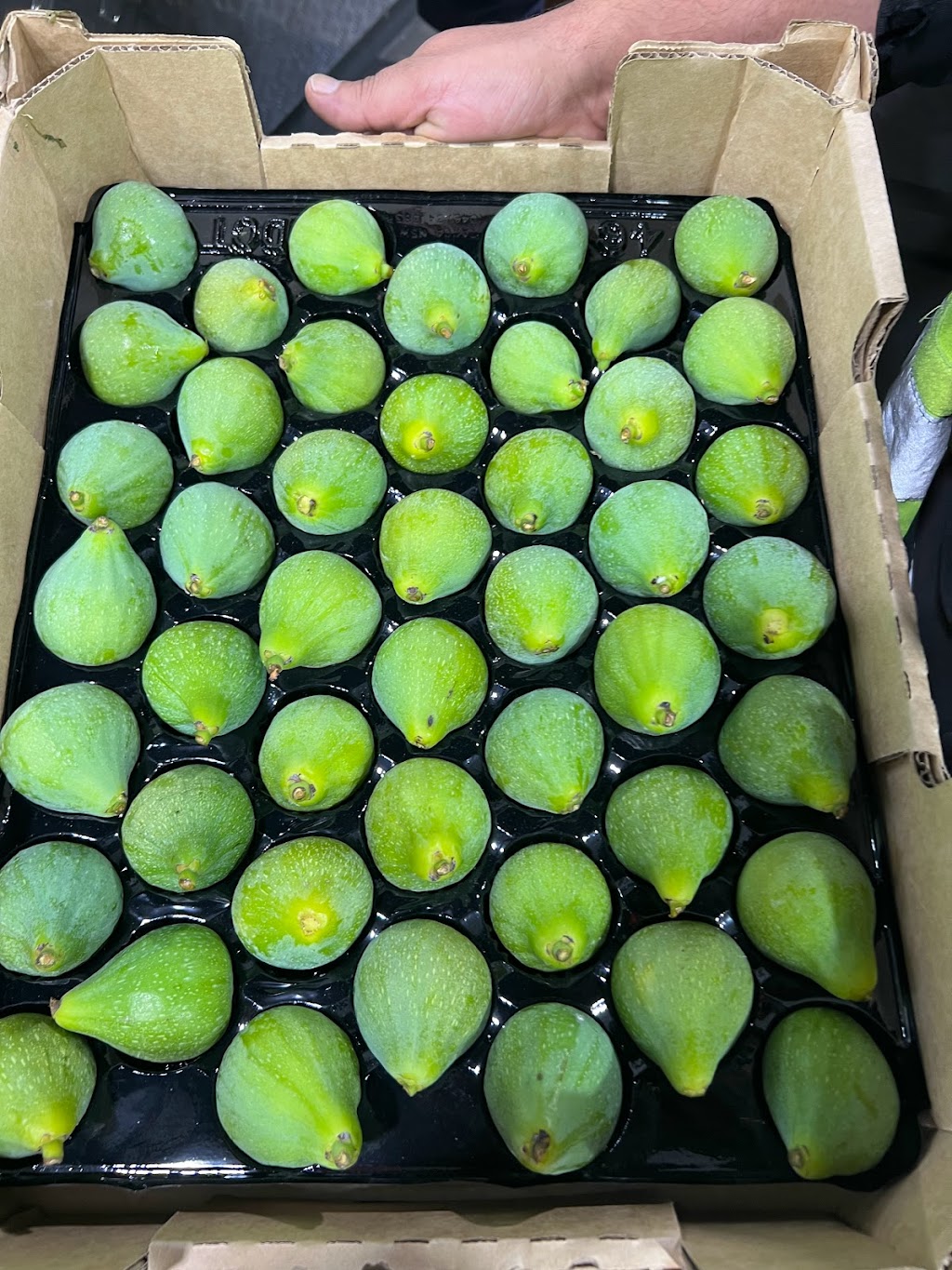 Healthy World | 9 Ellenbrae St, Orange NSW 2800, Australia | Phone: 0402 339 704