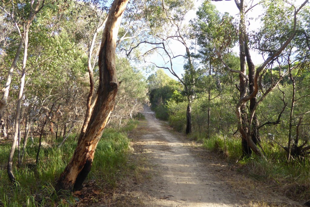 Walking Track to Manly Dam | park | Manly Vale NSW 2093, Australia