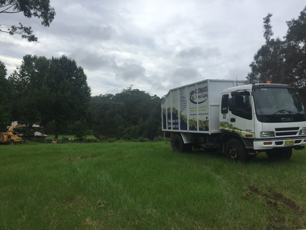 Ultimate Tree Care | 74 Bottlebrush Dr, Glenning Valley NSW 2261, Australia | Phone: 1800 883 572