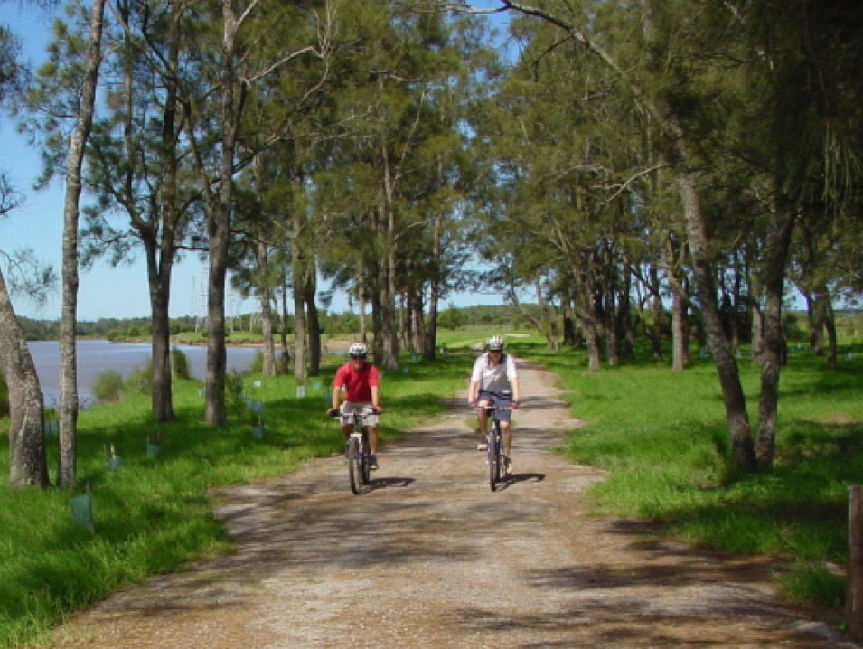 Kooragang Wetland Rehabilitation Project | park | Schoolhouse Road, Newcastle NSW 2322, Australia