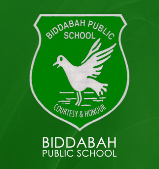 Biddabah Public School | school | 45 Medcalf St, Warners Bay NSW 2282, Australia | 0249546058 OR +61 2 4954 6058