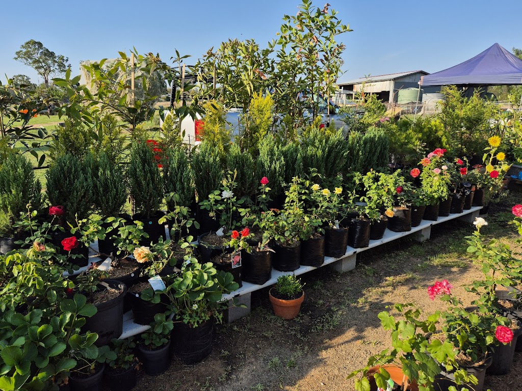 Circle 7 Construction and Plants | 7146 New England Hwy, Crows Nest QLD 4355, Australia | Phone: 0400 220 113