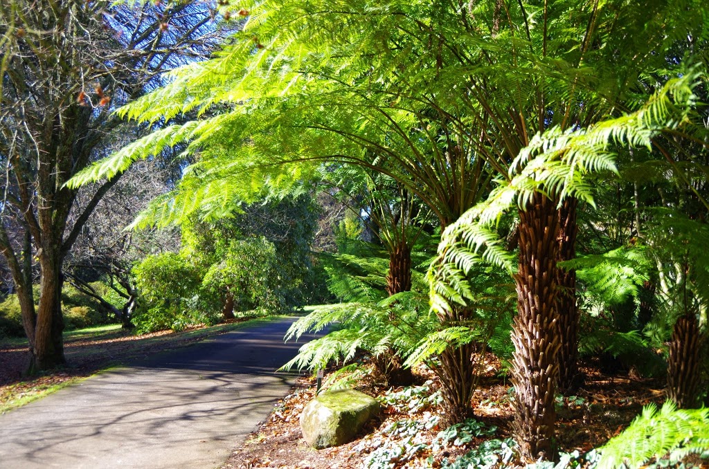 Dandenong Ranges Botanic Garden | park | The Georgian Rd, Olinda VIC 3788, Australia | 131963 OR +61 131963