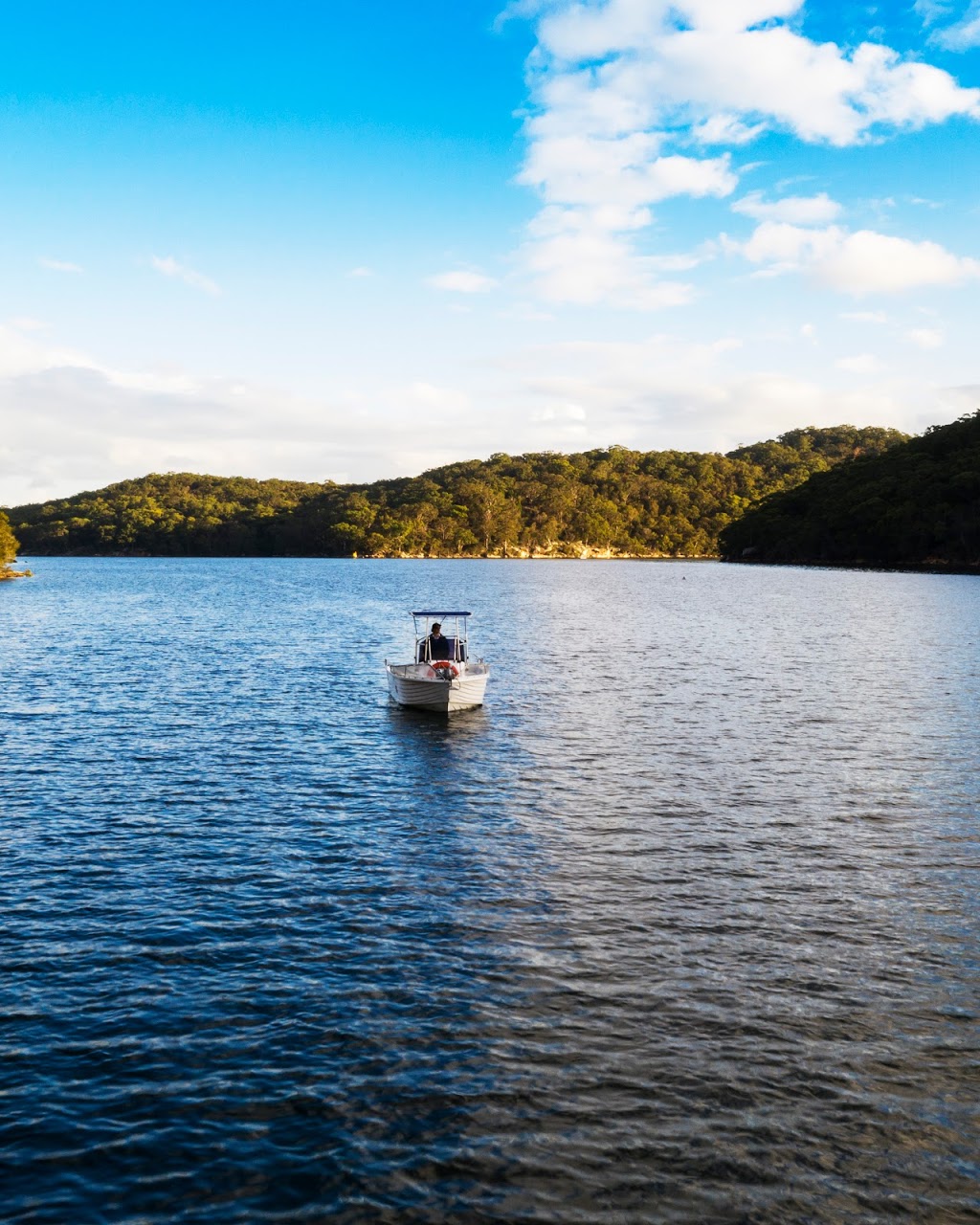 Sydney Harbour Safaris Boat Tours | 8 Lowing Cl, Forestville NSW 2087, Australia | Phone: 0490 701 016