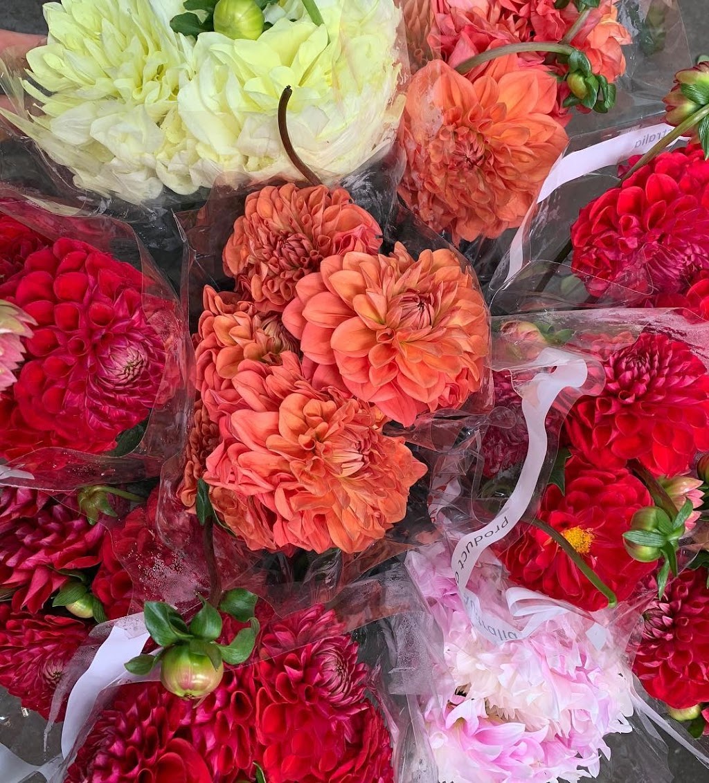 Just Flowers | 1/54 Browns Rd, Kingston TAS 7050, Australia | Phone: (03) 6227 2404