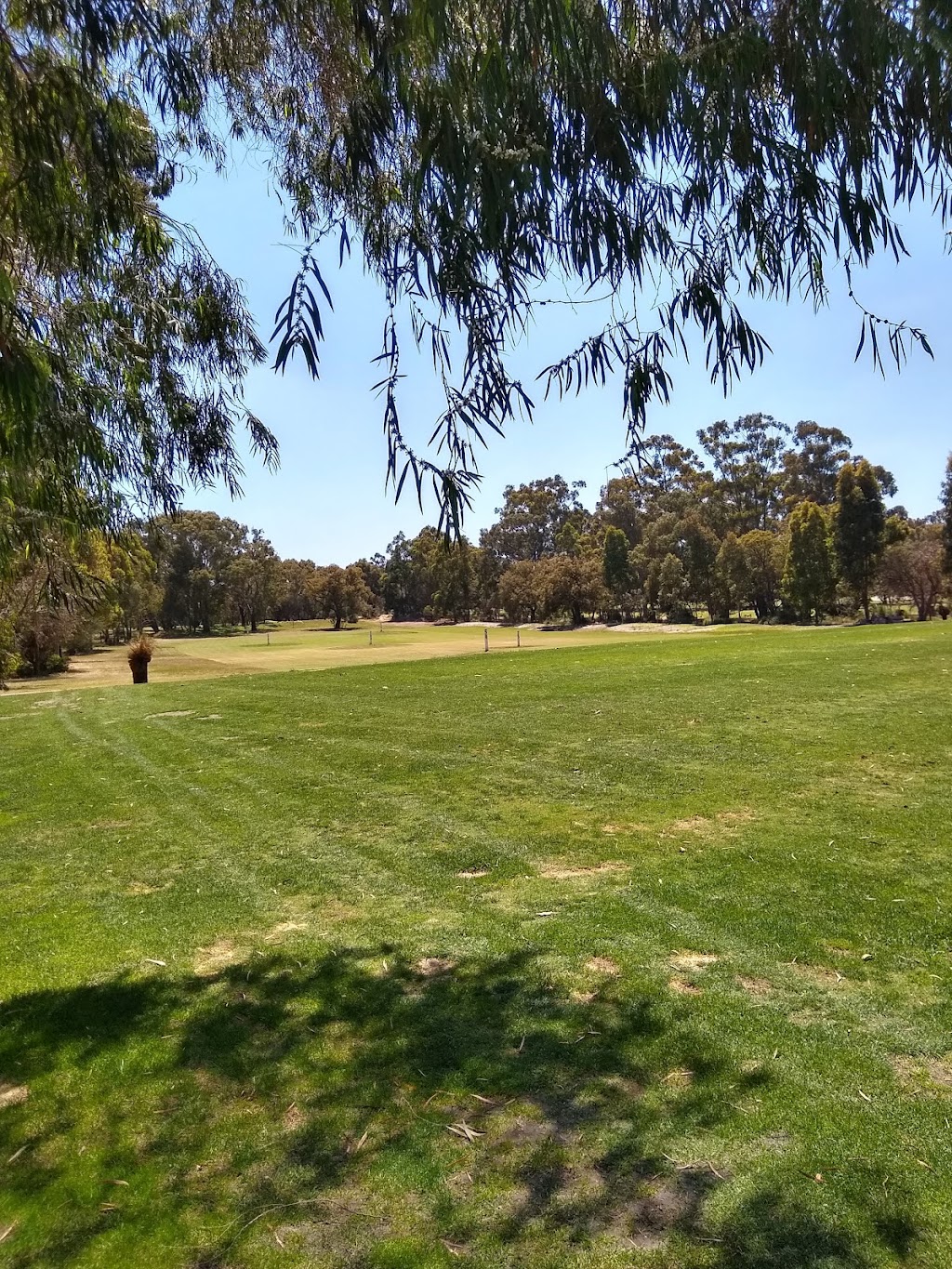 Wanneroo Golf Club | 44 Flynn Dr, Neerabup WA 6031, Australia | Phone: (08) 9405 3677