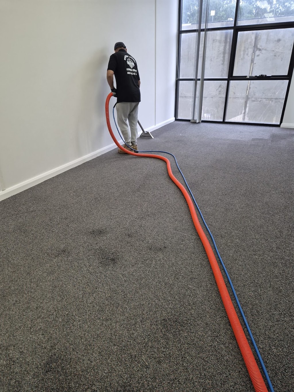 Sydney Cleaning & Pest Control Services | 24 Highview St, Blacktown NSW 2148, Australia | Phone: 0415 431 307