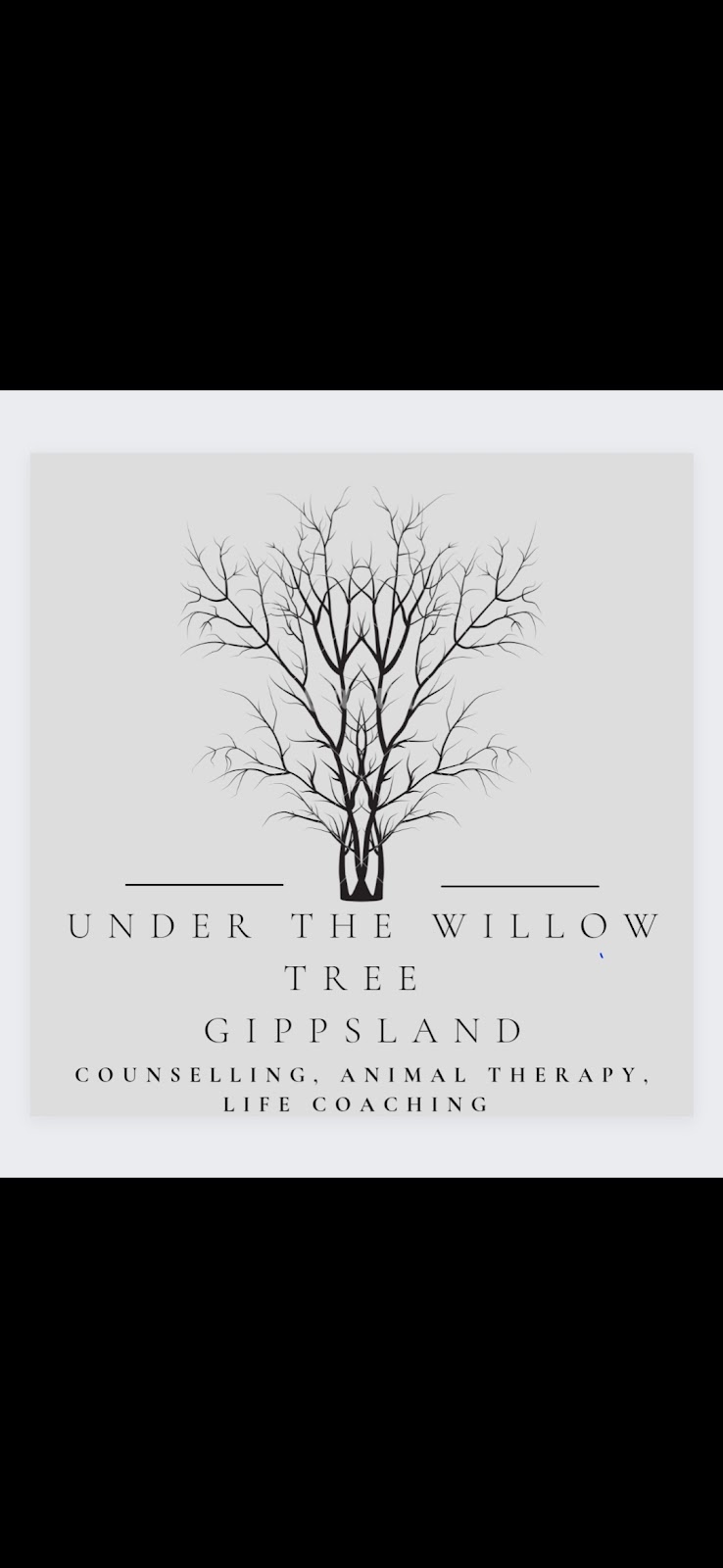 Under The Willow Tree Gippsland | 65 Thompson Dr, Cowwarr VIC 3857, Australia | Phone: 0478 674 143