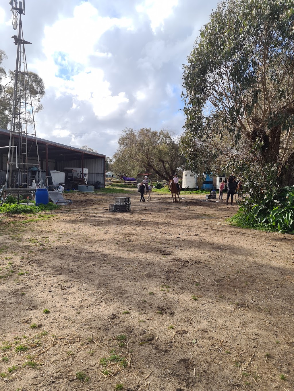 Foxdale Riding School | 100 Doghill Rd, Baldivis WA 6171, Australia | Phone: 0408 918 048