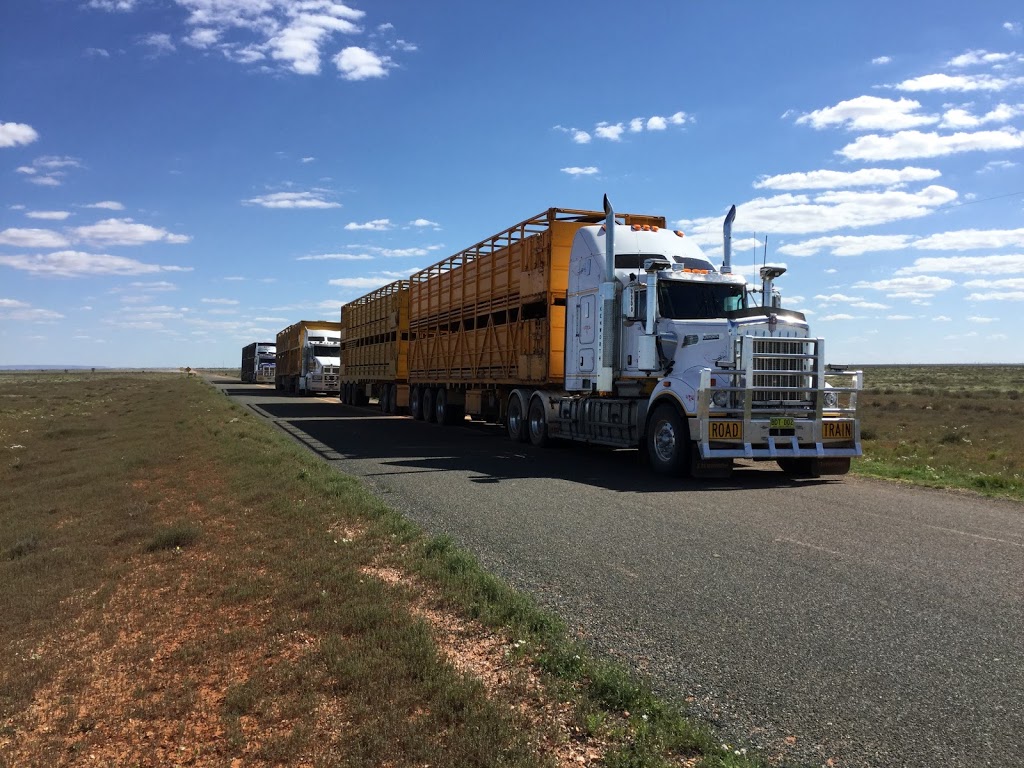 Bruce Dickinson Livestock Transport | 22L Yarrandale Rd, Dubbo NSW 2830, Australia | Phone: (02) 6882 3755