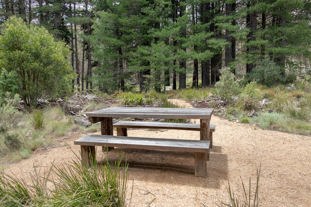 Bendora Arboretum | park | Cotter River ACT 2611, Australia