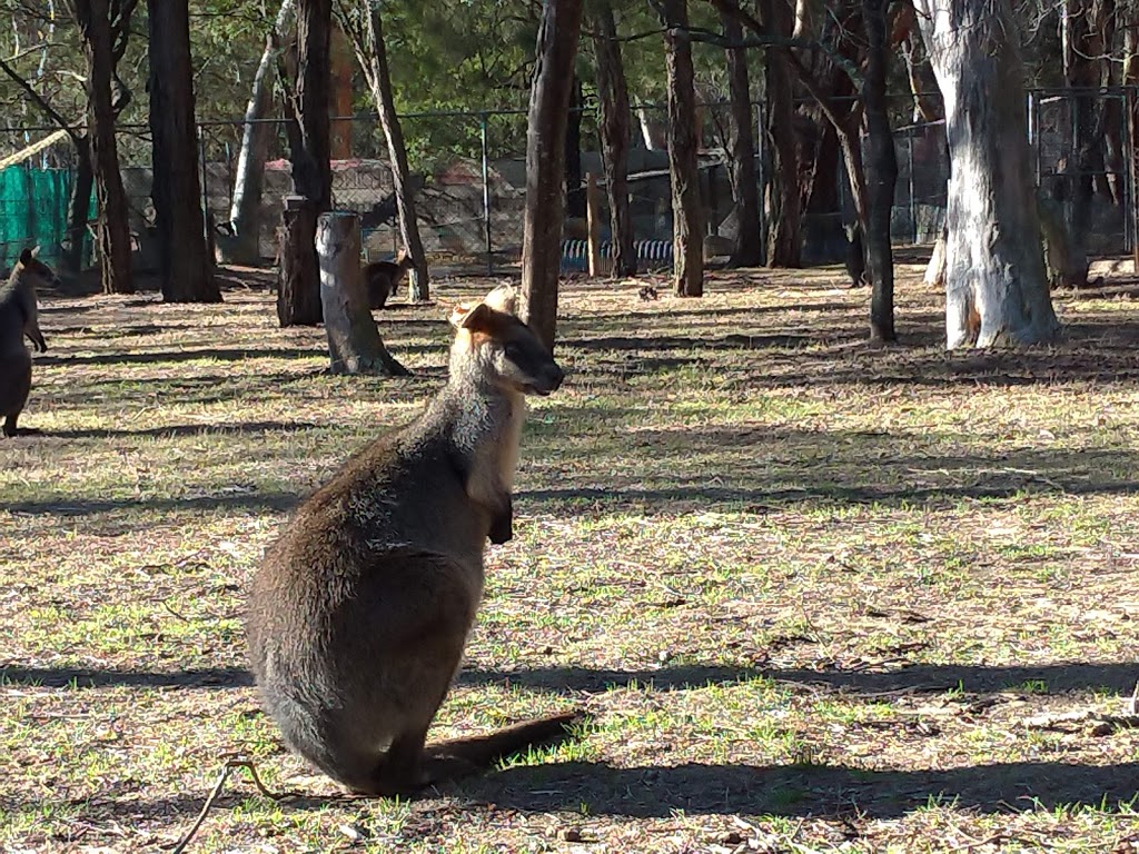 Wirrimbirra Sanctuary | 3105 Remembrance Driveway, Bargo NSW 2574, Australia | Phone: (02) 4684 1112