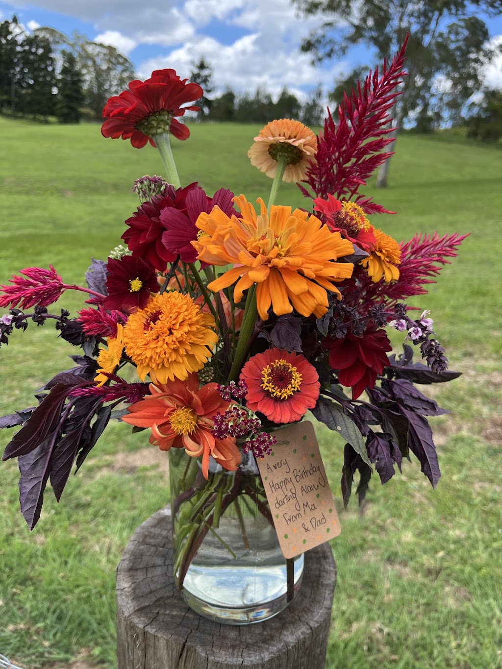 Blooms on View Flower Farm | 2299 Mount Mee Rd, Ocean View QLD 4521, Australia | Phone: 0434 828 825