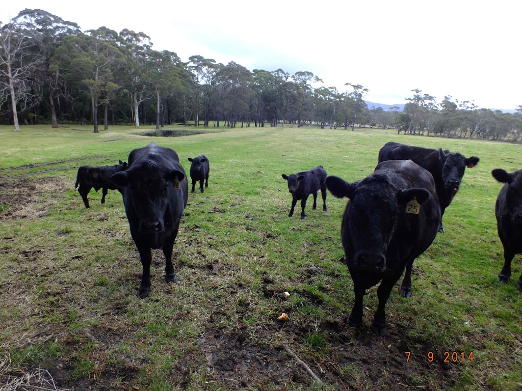 Zickar Farm (Monte Degli Angeli) | lodging | 182 Lees Rd, Robertson NSW 2577, Australia | 0409037770 OR +61 409 037 770