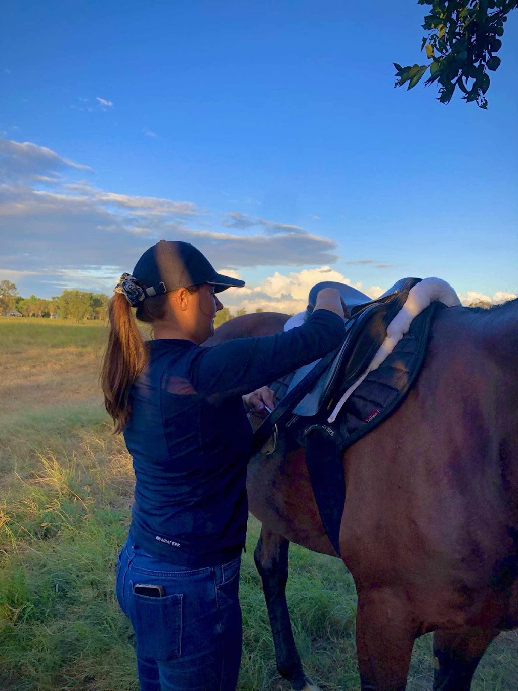 Saddle Fitting SEQ | Beryl Parade, North Maclean QLD 4280, Australia | Phone: 0477 709 283 Saddle Fitting SEQ | Beryl Parade, North Maclean QLD 4280, Australia | Phone: 0477 709 283