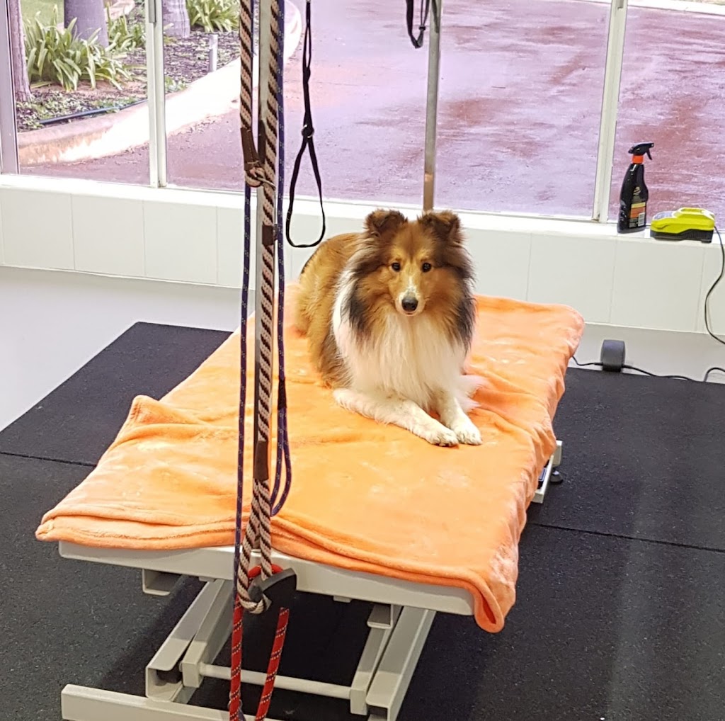 Emz Dog Grooming | home goods store | 74 Thatcher Rd, Byford WA 6122, Australia | 0433455274 OR +61 433 455 274