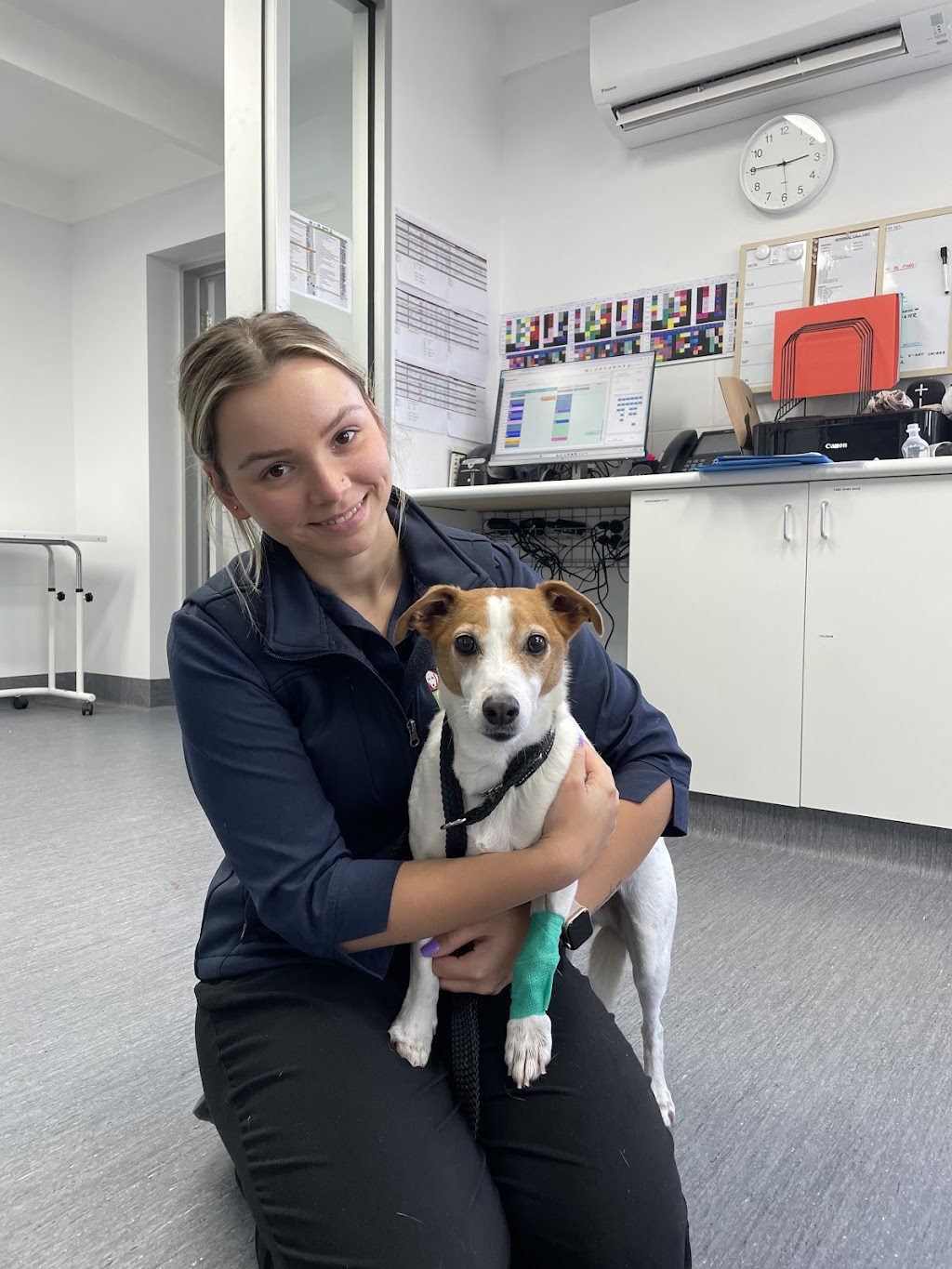 Vets of Geelong - Lara | 75 Forest Rd S, Lara VIC 3212, Australia | Phone: (03) 5243 0077