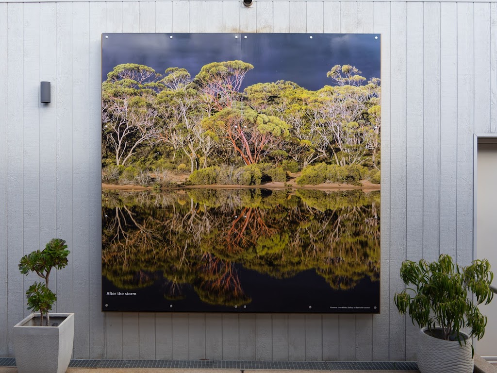 Norseman Visitor Centre | 78 Prinsep St, Norseman WA 6443, Australia | Phone: (08) 9039 0040