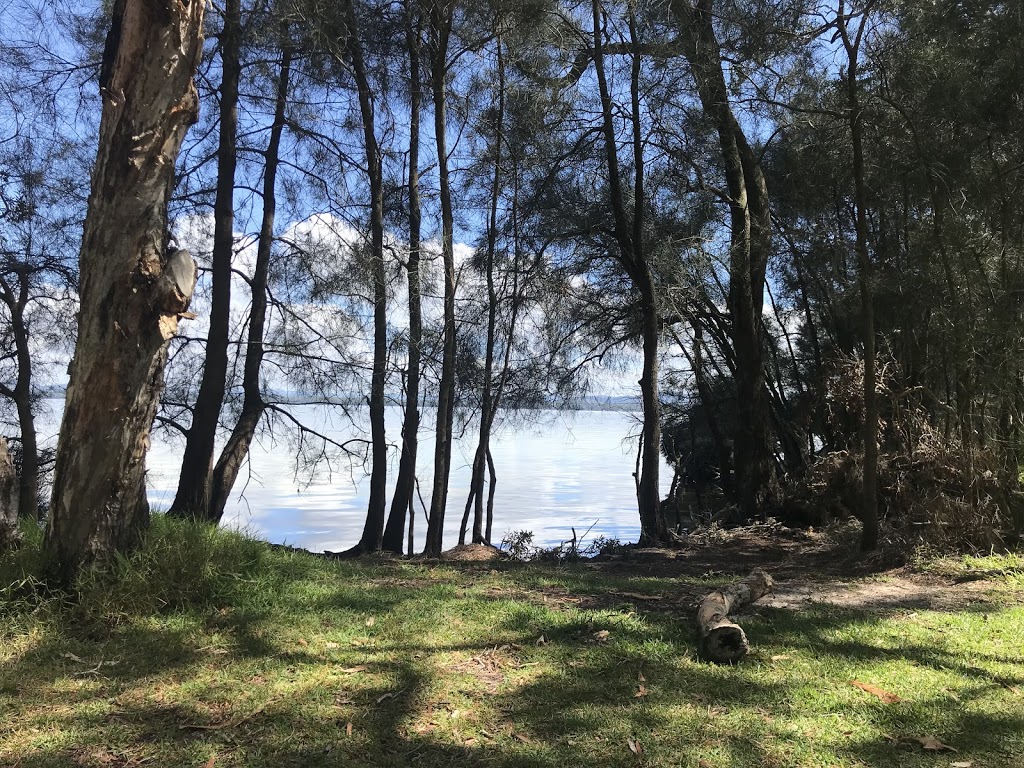 White Tree Camping Area | campground | Mungo Brush Rd, Mungo Brush NSW 2423, Australia