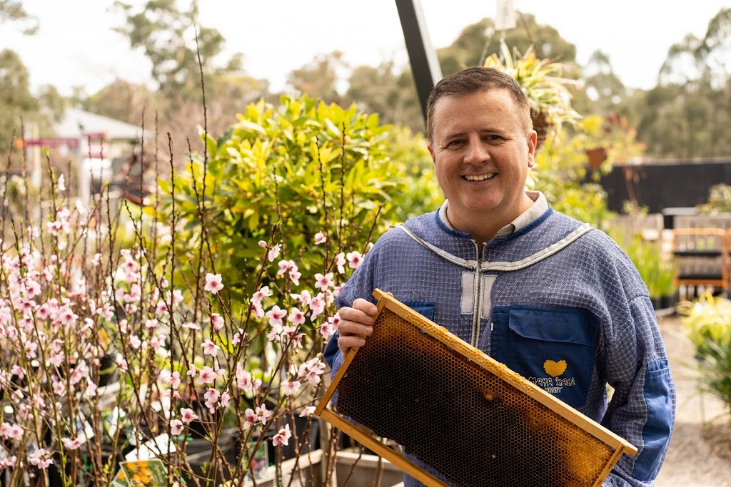 MayaXala Honey by Nathan Stewart | 13 Spectacular Ave, Doreen VIC 3754, Australia | Phone: 0412 742 006