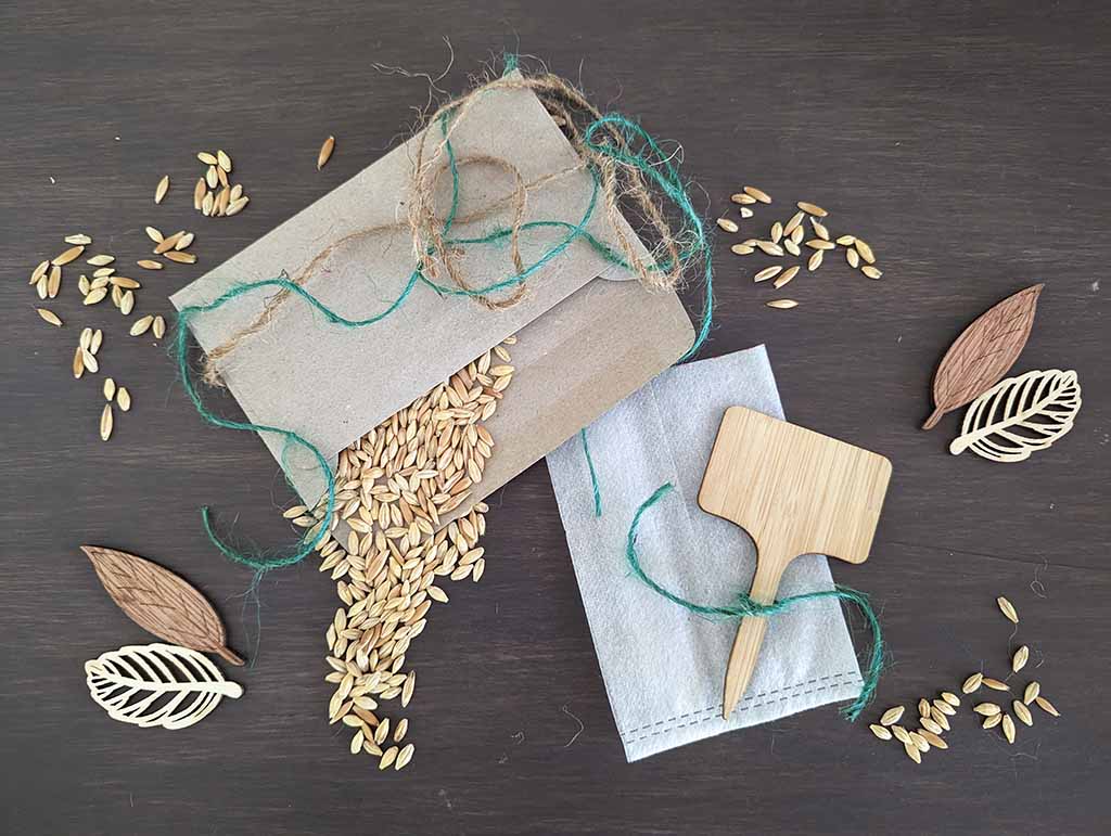 Potting Mad | 43 Fairlane St, Joyner QLD 4500, Australia | Phone: 0415 701 788