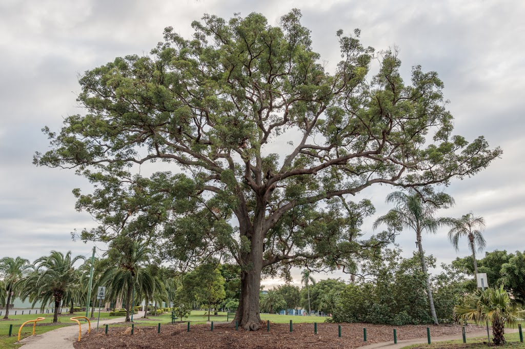 Yeronga Memorial Park | park | Yeronga QLD 4104, Australia