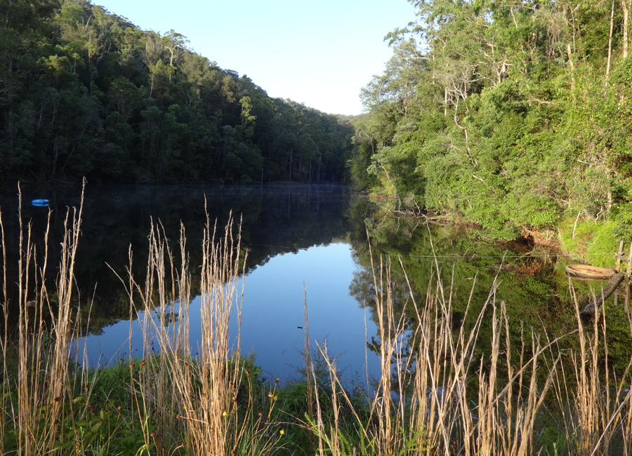 Narara Ecovillage | 33 Gugandi Rd, Narara NSW 2250, Australia | Phone: (02) 4328 1588