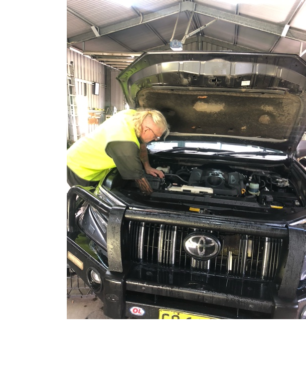 Pauls Automotive Business Pty Ltd | car repair | 36 Broadoak Ct, Bonogin QLD 4213, Australia | 1300087646 OR +61 1300 087 646