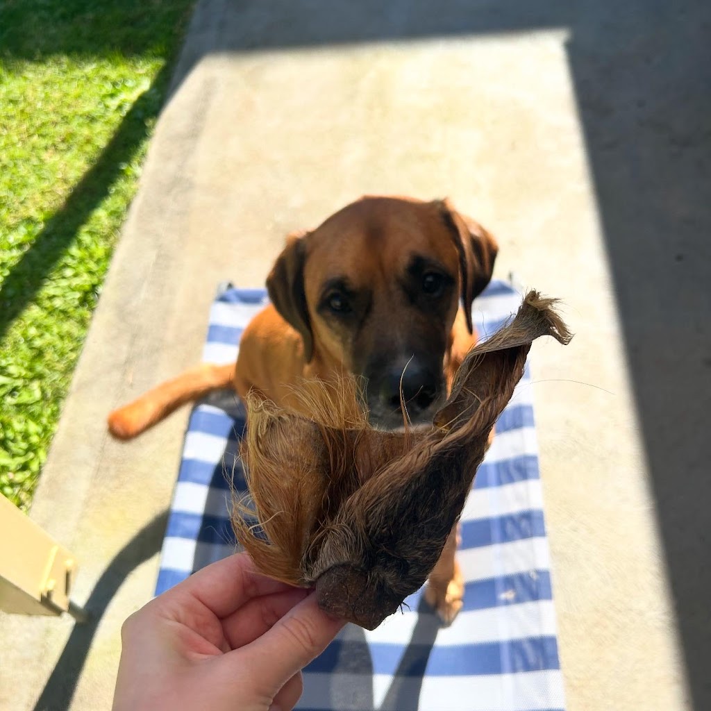 Charlie and the Treat Factory | 16 Coral Fern Way, Gwandalan NSW 2259, Australia | Phone: 0468 528 211