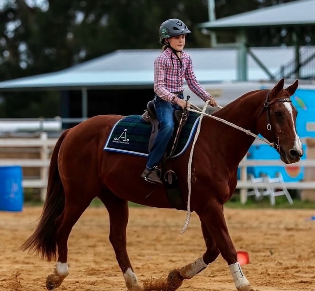 Tarcoola Performance Horses | 324 Pines Rd, Edenville NSW 2474, Australia | Phone: 0427 545 888