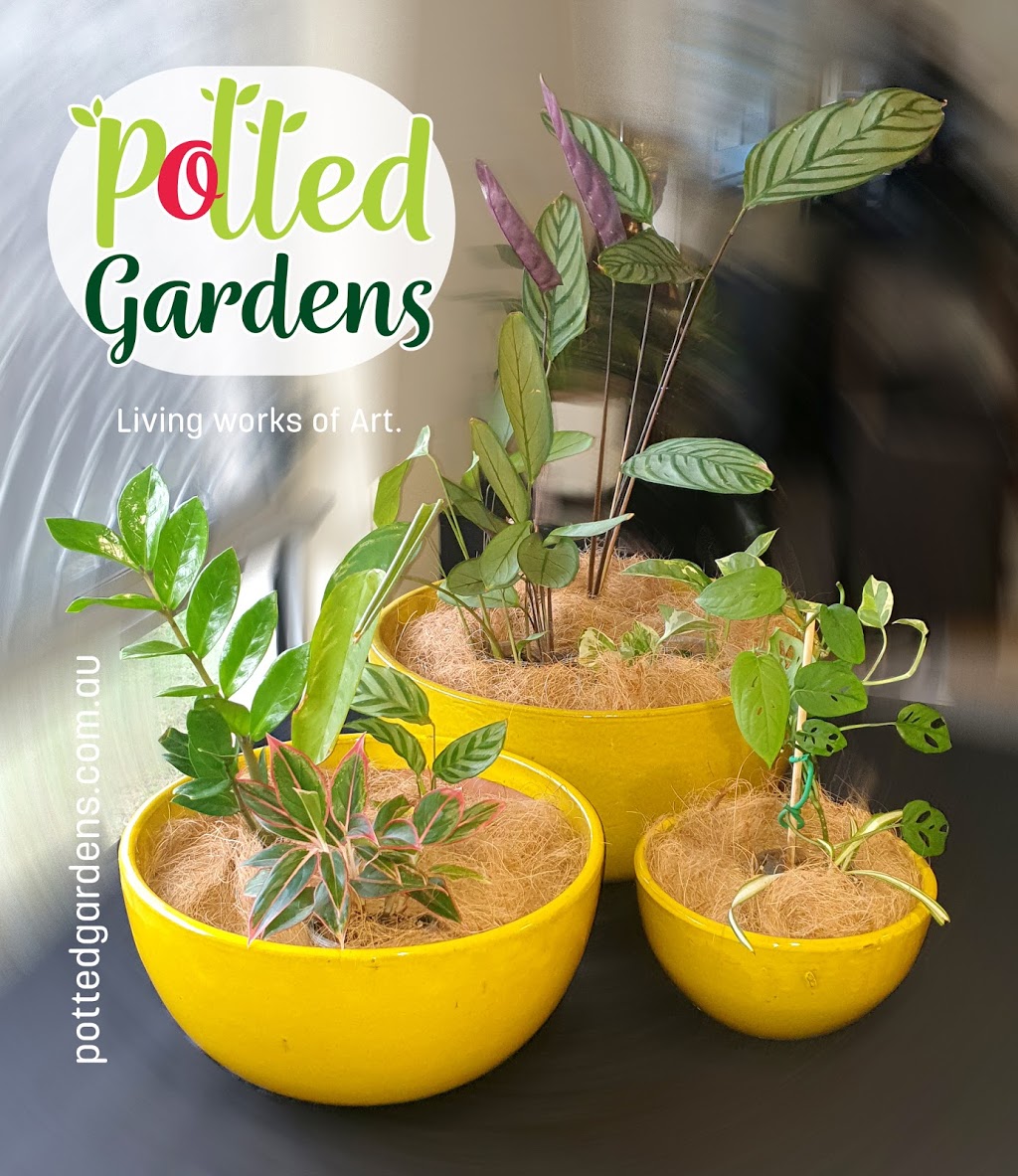 Potted Gardens | 27 Elderflower Cct, Griffin QLD 4503, Australia | Phone: 0424 640 277