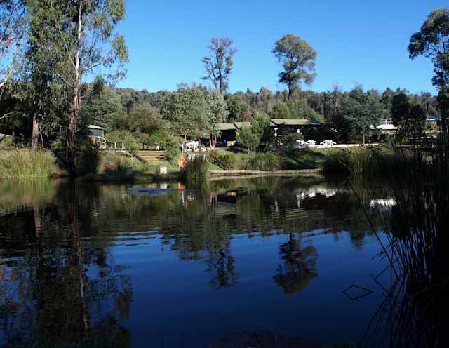 Marysville Trout & Salmon Ponds | 261 Marysville Rd, Marysville VIC 3779, Australia | Phone: (03) 5963 3558