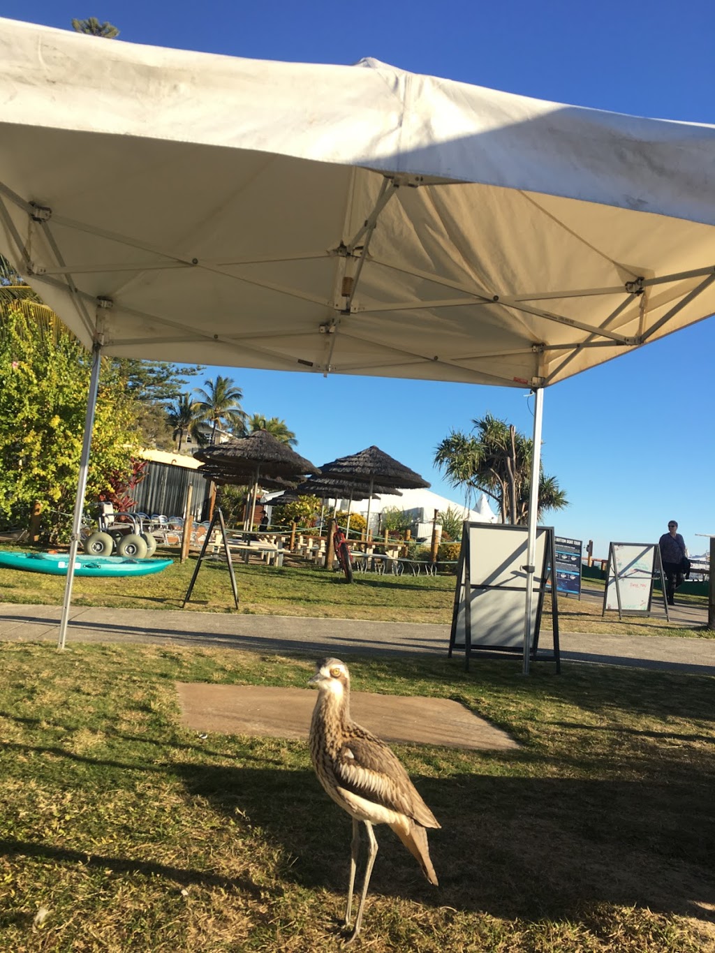 Adventure Moreton Island | travel agency | Tangatours, Tangalooma Island Resort, Moreton Island, Tangalooma QLD 4025, Australia | 1300022878 OR +61 1300 022 878