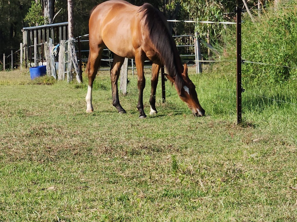 Moonlight Manor Horse Riding | 5/65 McTaggart Rd, New Beith QLD 4124, Australia | Phone: 0420 310 669