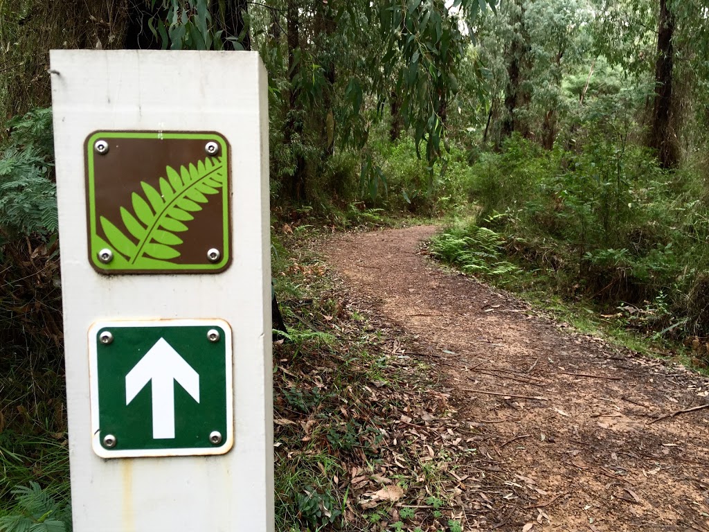 Marysville Beauty Spot Natural Features Reserve | park | Marysville VIC 3779, Australia