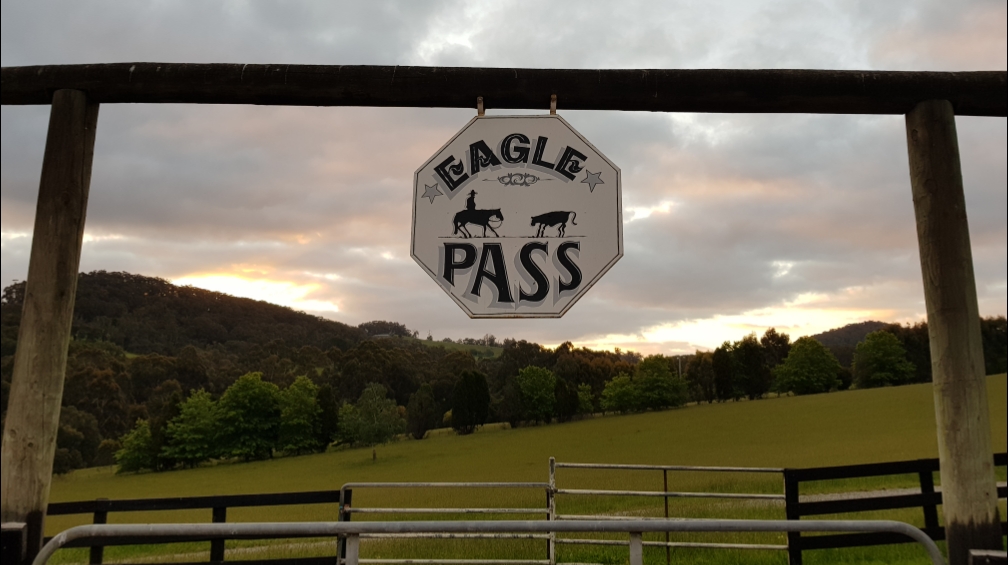 Eagle Pass Ranch (Roy Marchinton Training Stables) | travel agency | 235 Olsen Rd, Nar Nar Goon North VIC 3812, Australia | 0401670054 OR +61 401 670 054