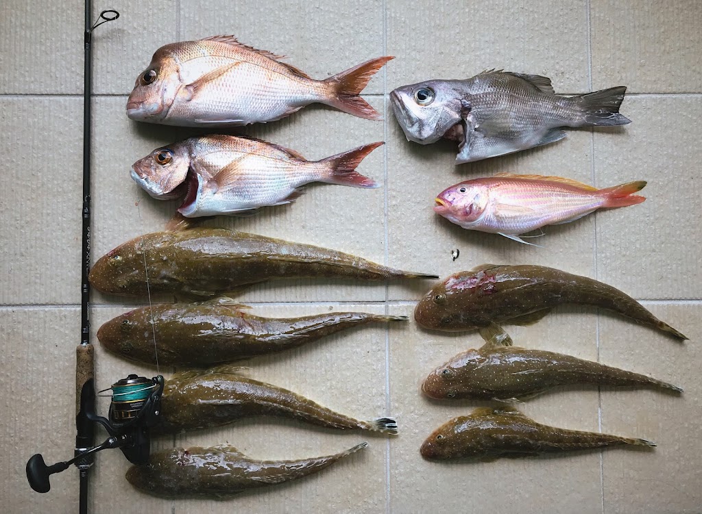 Sea Probe Fishing Charters |  | Muriel Henchman Dr, Main Beach QLD 4217, Australia | 0400312330 OR +61 400 312 330