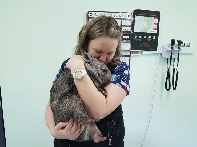 Durham Street Veterinary Clinic | veterinary care | 90 Rankin St, Bathurst NSW 2795, Australia | 0263342009 OR +61 2 6334 2009
