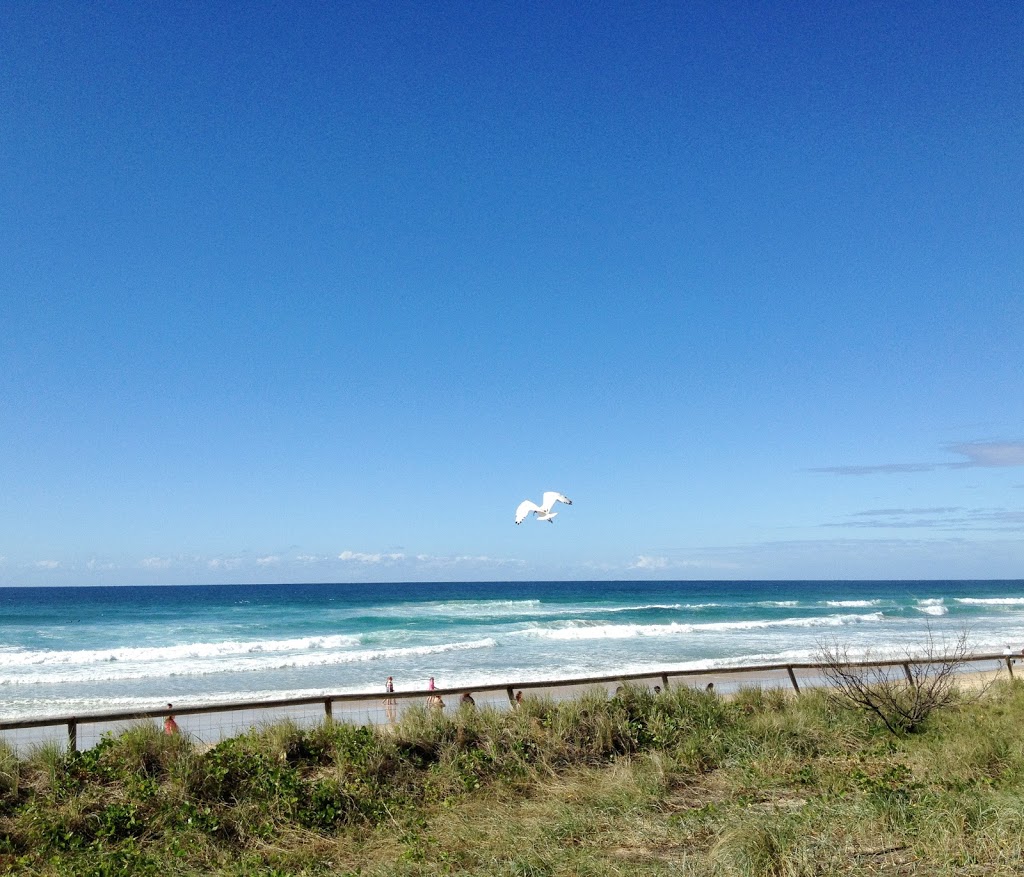 Lifeguard Tower 35 Surfers Paradise |  | 44-52 Esplanade, Surfers Paradise QLD 4217, Australia | 0755661000 OR +61 7 5566 1000