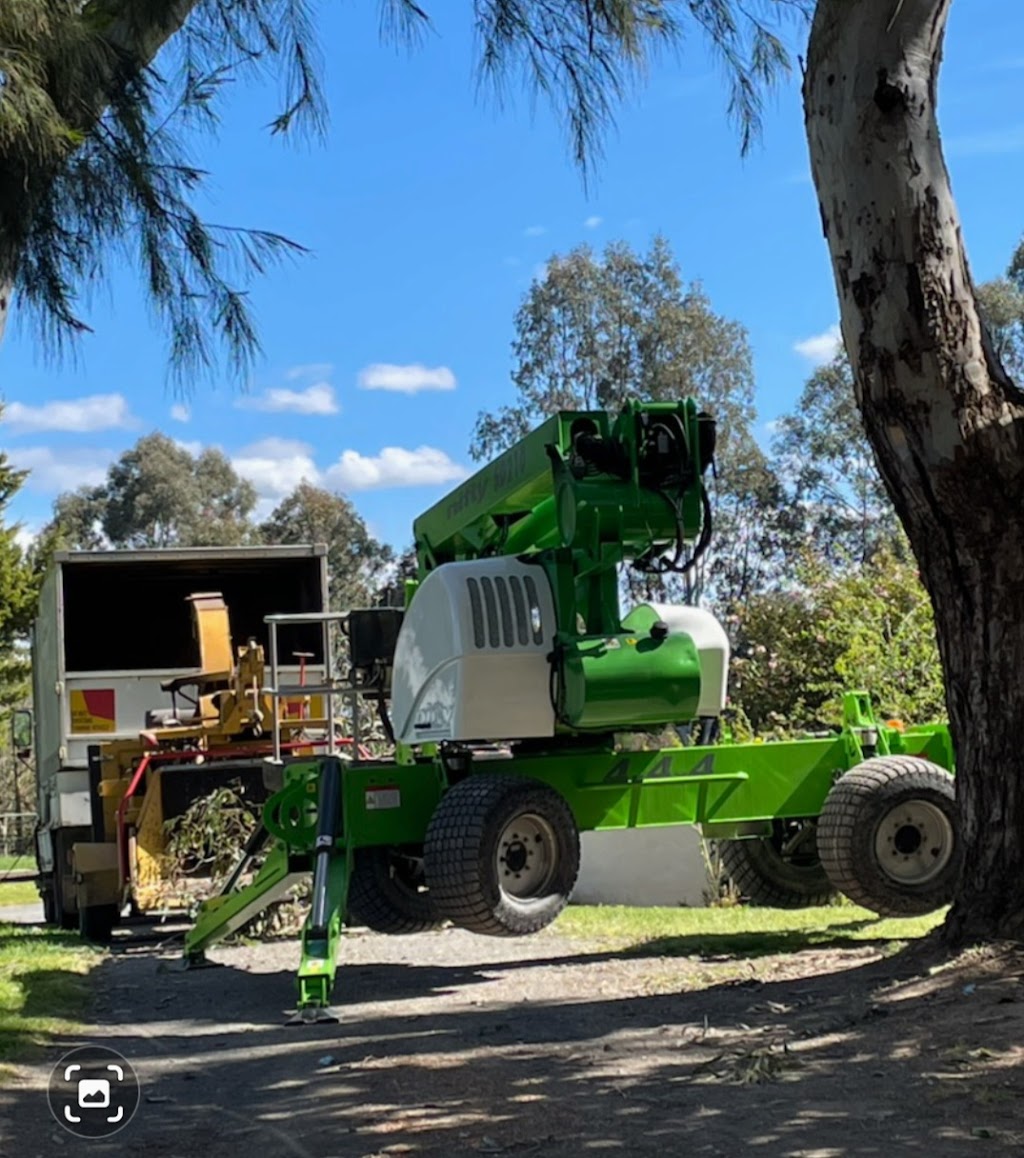 Global Tree Solutions Pty Ltd | 4608 Maroondah Hwy, Whanregarwen VIC 3714, Australia | Phone: 0439 721 943