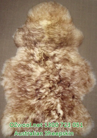 Ozwool.net Australian Sheepskins | clothing store | unit 1, 57 Tallowood Lane, Cashmere QLD 4500, Australia | 1300723051 OR +61 1300 723 051