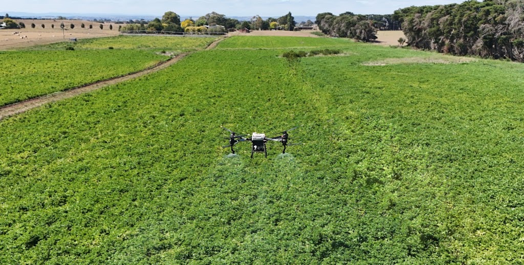 Webber and Chivell Drones | 29 Cowleys Rd, Jancourt East VIC 3266, Australia | Phone: (03) 5594 6294