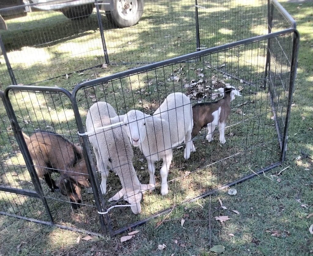 Trulander Petting Zoo | Caringal Rd, Emerald QLD 4720, Australia | Phone: 0407 460 703